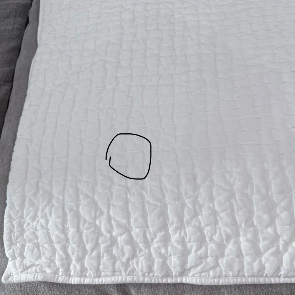 Pottery Barn King Shams - Picture 9 of 11